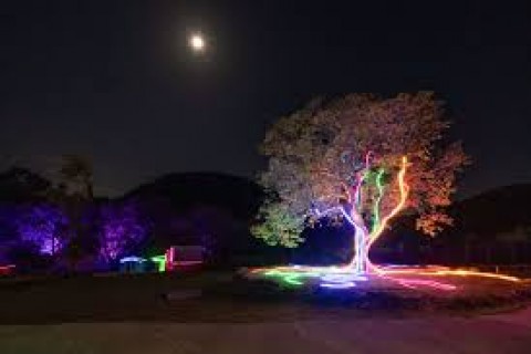 Lumni Experience, o mais novo Parque Temático de Gramado, está com venda antecipada de ingressos com descontos