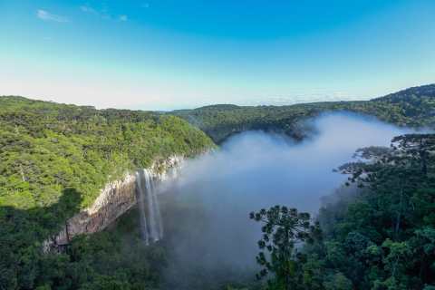 "Feijoada da Dilce" é novidade na temporada de inverno do Parque do Caracol em Canela